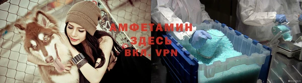 стафф Алексин