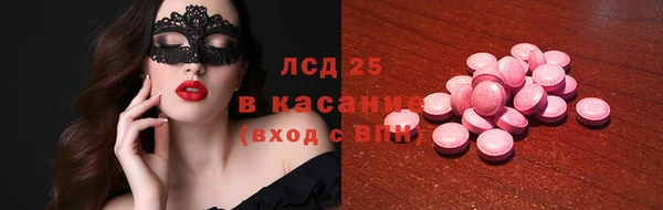 стаф Арсеньев