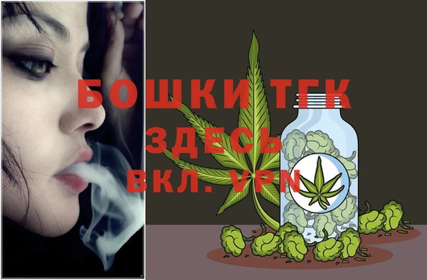 стаф Арсеньев