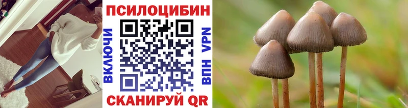 Галлюциногенные грибы прущие грибы где найти наркотики Всеволожск