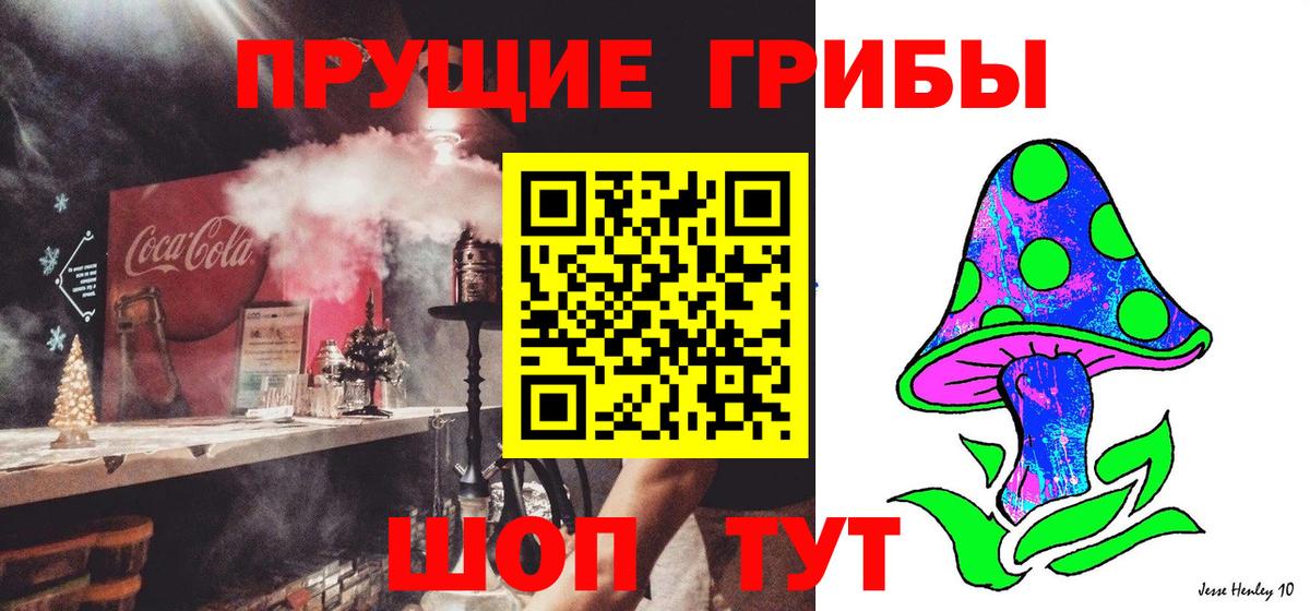 Всеволожск  Псилоцибиновые грибы Psilocybine cubensis  Вход с VPN 